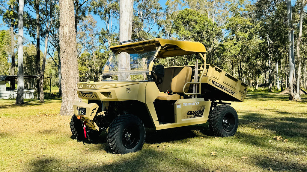 TRIDENT 1000CC SIDE BY SIDE UTV DESERT CROSS – NICOLA'S MACHINERY